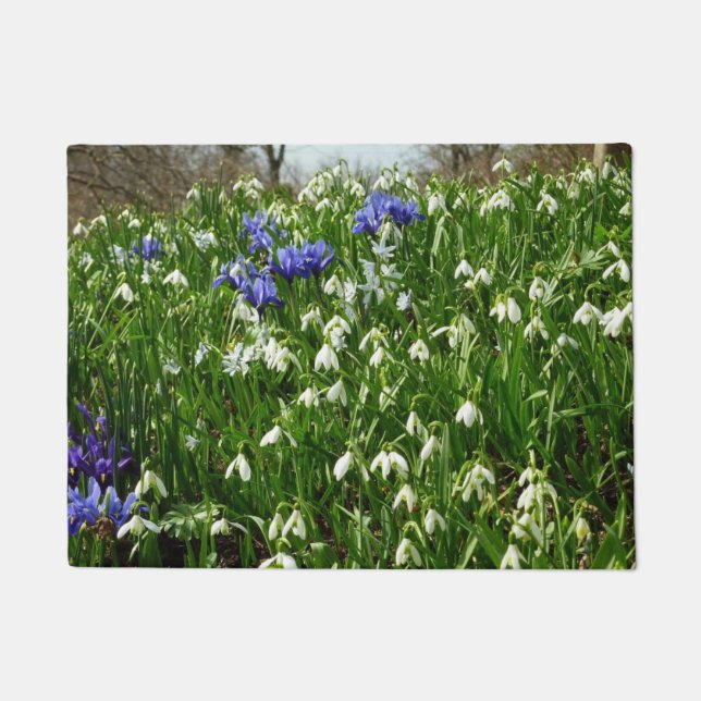 Paillasson Paysage des fleurs du début du printemps (Devant)