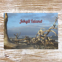 Plage de Driftwood sur le port de Jekyll Island