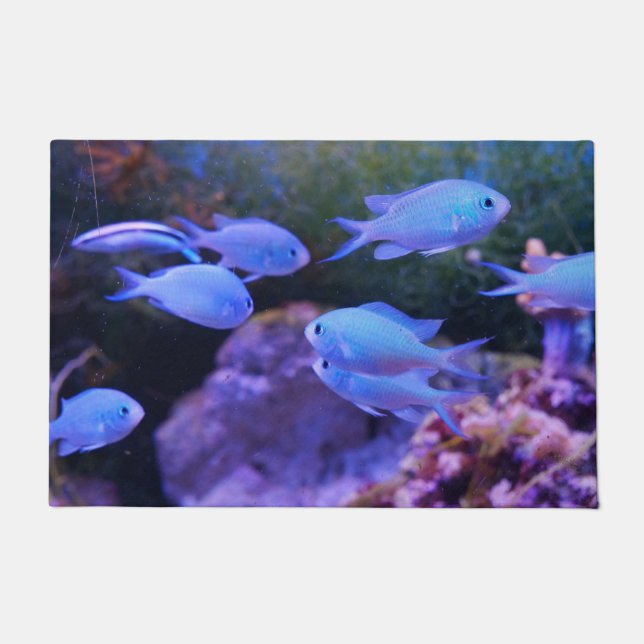 Paillasson Poisson bleu tropical (Devant)