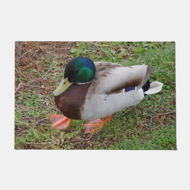 Paillasson Porte de canard à tête verte (Devant)