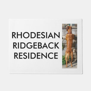 Paillasson position rhodesian de ridgeback