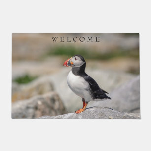 Paillasson Puffin Atlantique en Machias, Maine