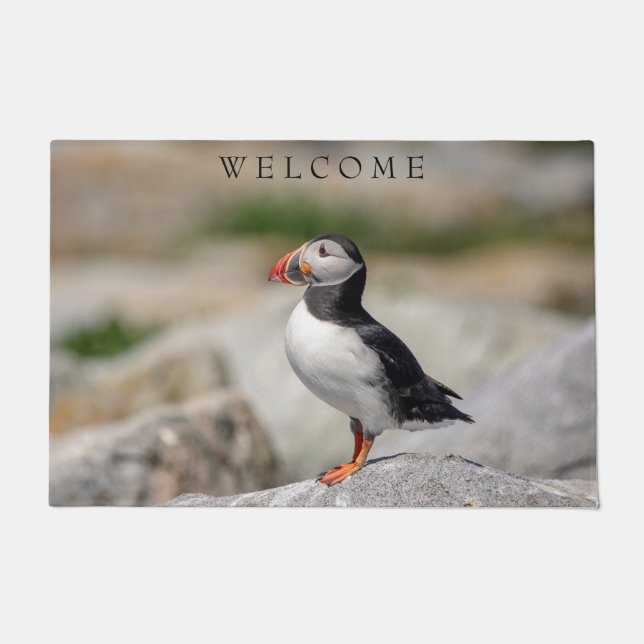 Paillasson Puffin Atlantique en Machias, Maine (Devant)