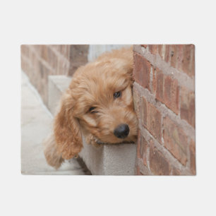 Paillasson Puppy Pékin