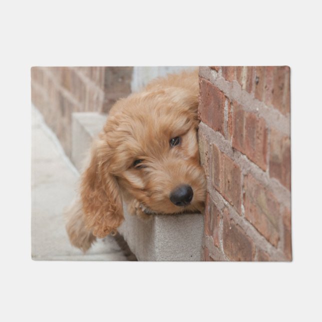 Paillasson Puppy Pékin (Devant)