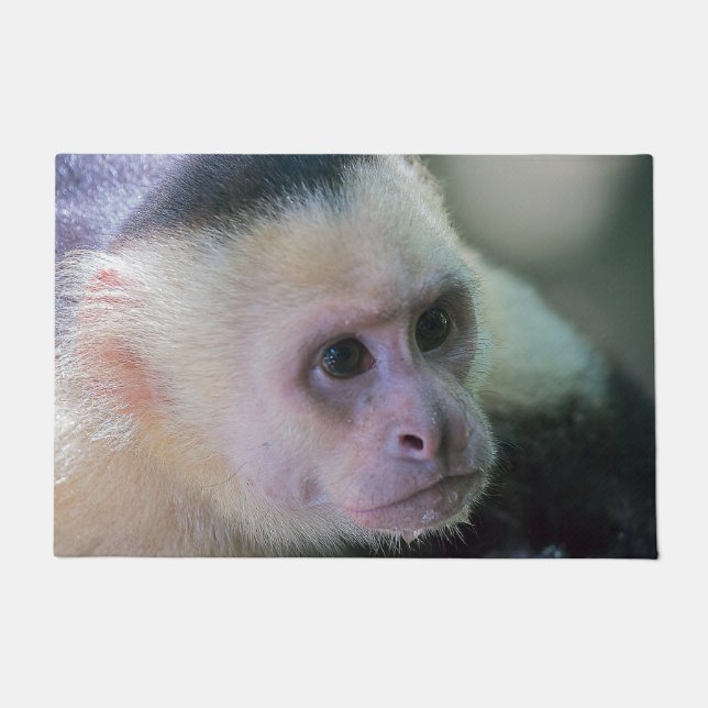 Paillasson Pura vida pour singe capucin à tête blanche (Devant)