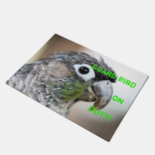 Paillasson Quill city