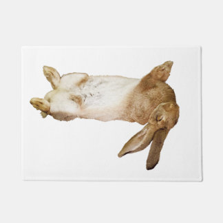 Paillasson rabbit door mat