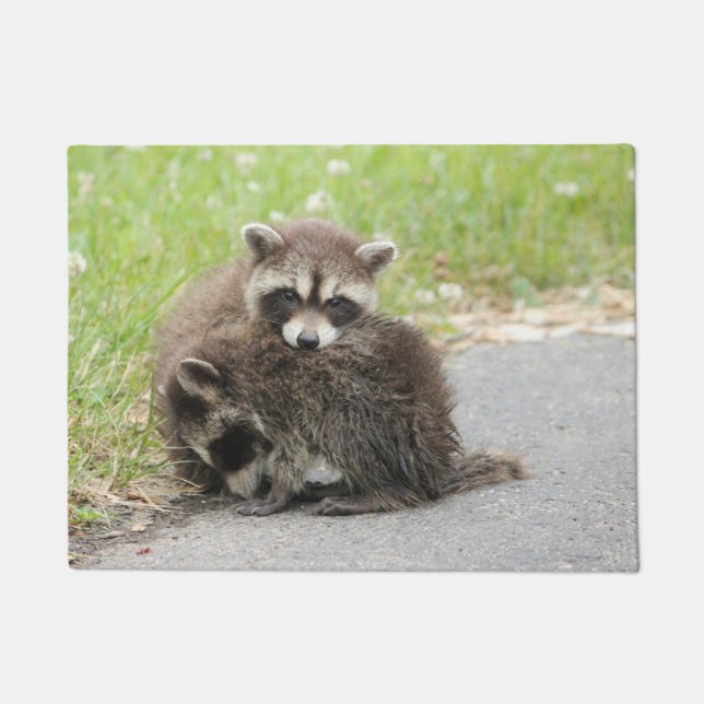 Paillasson Ratons laveurs de caresse de bébé (Devant)