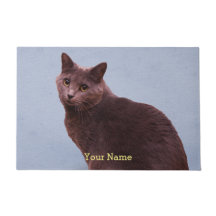Regarder russe de chat bleu