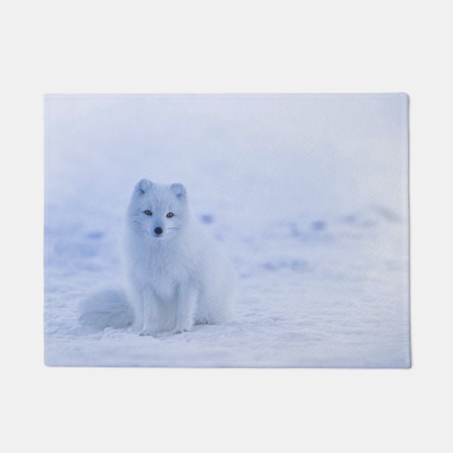 Paillasson Renard arctique de l'Islande (Devant)