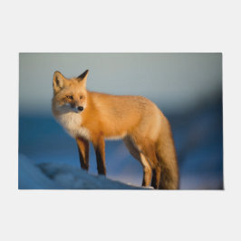 Paillasson Renard Brown