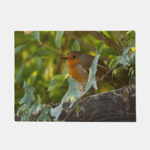 Paillasson Robin