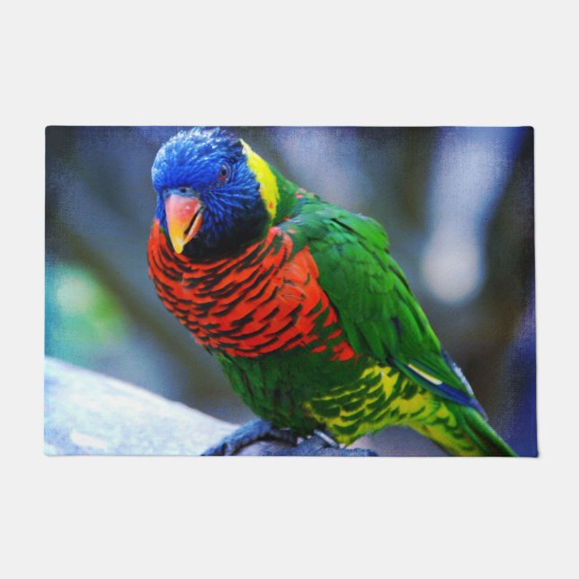 Paillasson Rouge bleu vert jaune oiseau gros plan photo moder (Devant)