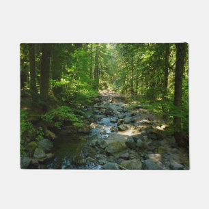 Paillasson Ruisseau Laughingwater au Parc national du mont Ra