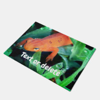 Salamandre rouge goutte de pluie sur l'oeil person