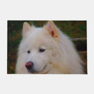 Paillasson Samoyed Husky.