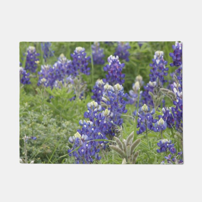 Paillasson SJefferson Texas Bluebonnets Series #2 (Devant)
