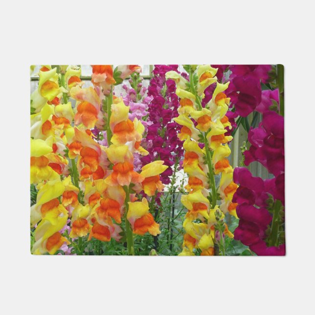 Paillasson Snapdragons colorés floraux (Devant)