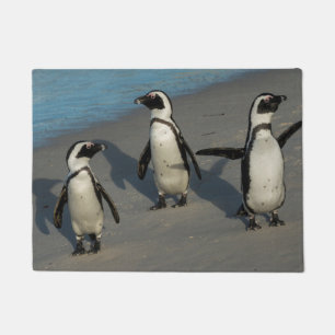 Paillasson Spheniscus africain Demersus des pingouins