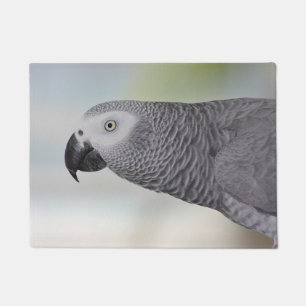 Paillasson Superbe perroquet gris africain
