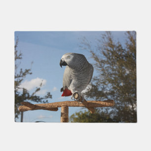 Paillasson Superbe perroquet gris africain