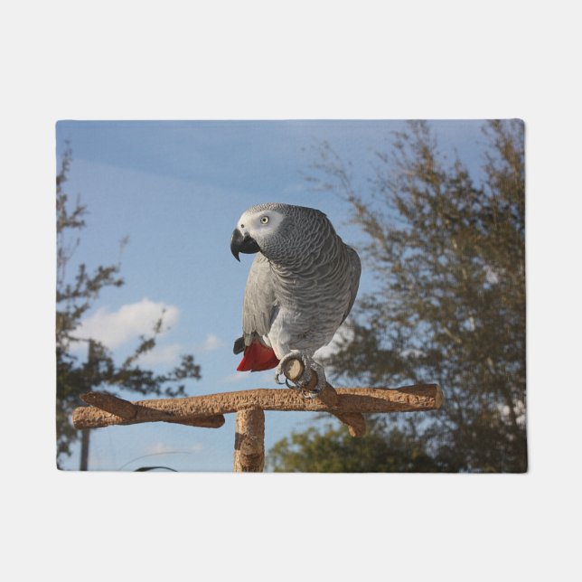 Paillasson Superbe perroquet gris africain (Devant)