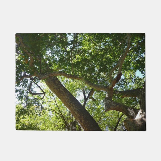 Paillasson Sycamore Tree Nature verte (Devant)