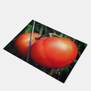 Paillasson Tomates Rouge Ripe Garden Sur La Vigne