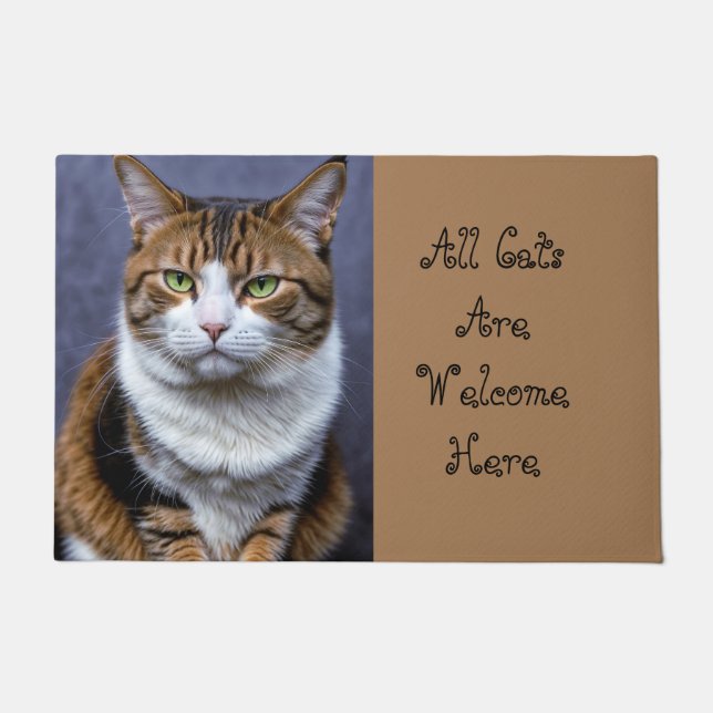 Paillasson Tous les chats sont bienvenus (Devant)