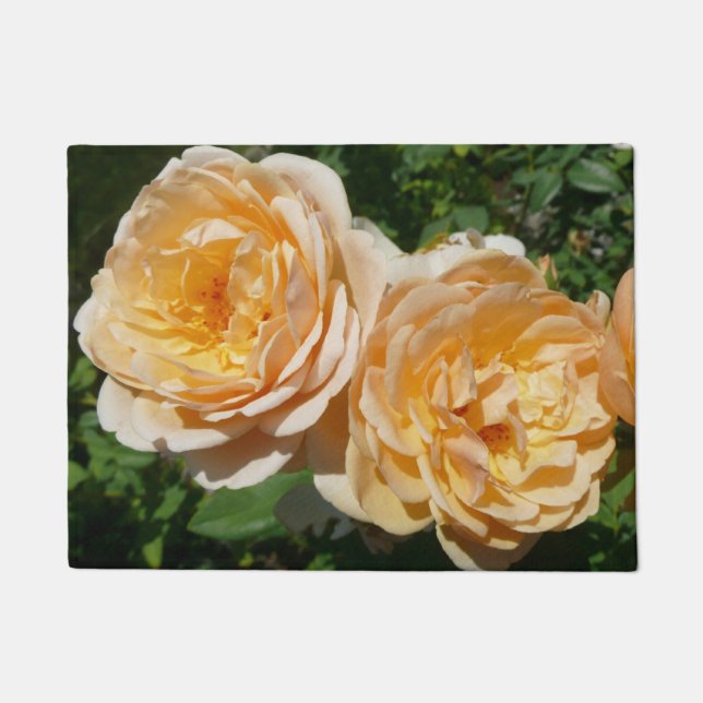 Paillasson Trio de Pêche Rose Floral (Devant)