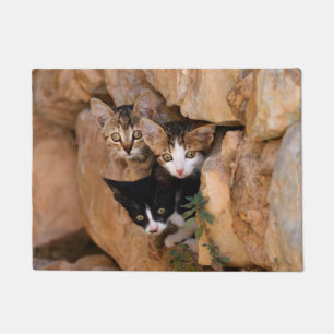 Paillasson Trois chatons curieux de chat