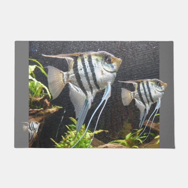 Paillasson Tropical Striped Poisson Design Porte Mat (Devant)