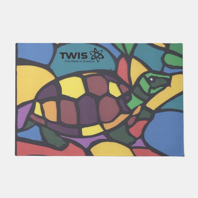 Paillasson TWIS #blairsanimalcorner Boîte porte tortue  (Devant)
