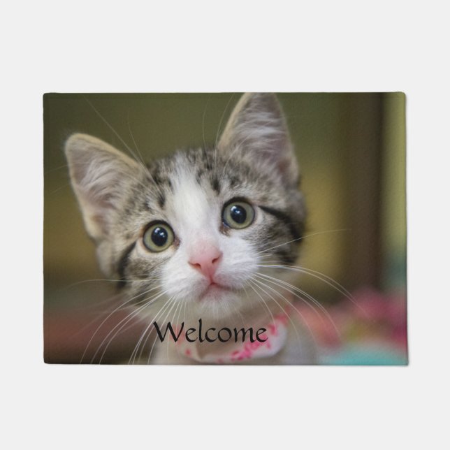 Paillasson Un chaton mignon aux yeux verts (Devant)