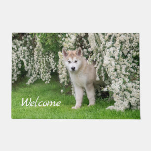 Paillasson Un chien malamué mignon de l'Alaska en fleurs Phot