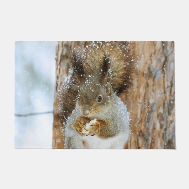 Paillasson Un écureuil mignon dans un paysage hivernal (Devant)