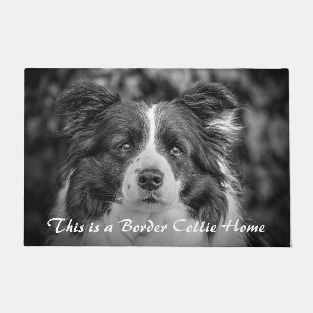 Paillasson Une frontière Collie Accueil (Devant)