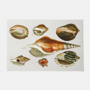Paillasson Vintages Différents types de mollusques coquillag