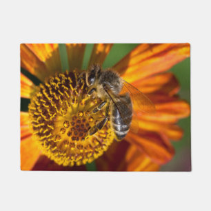 Paillasson Western Honey Bee Macro photo