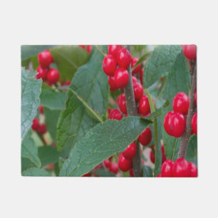 Paillasson Winter Red Berries Fêtes Noël Pittoresque