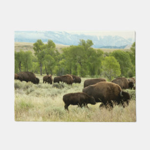 Paillasson Wyoming Bison Nature Animal Photographie