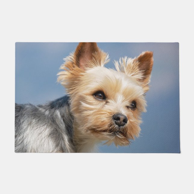 Paillasson Yorkshire Terrier (Devant)