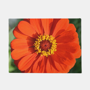 Paillasson Zinnia orange
