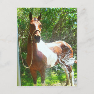 Paint Bath Postkarte