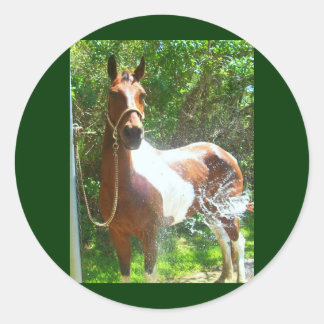 Paint Bath Runder Aufkleber