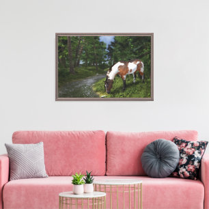 Paint Horse am Waldstrom Leinwanddruck
