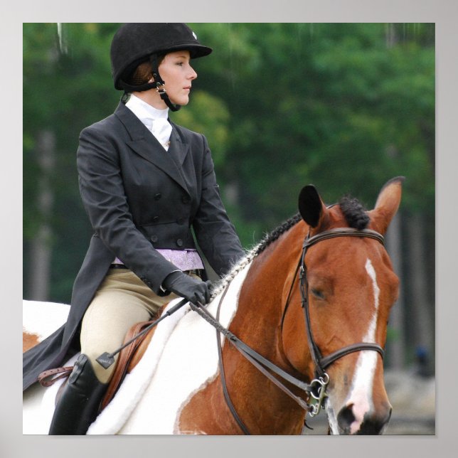 Paint Horse at Show Poster (Vorne)