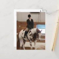 Paint Horse auf einer Pferdeshow
