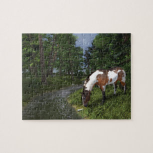 Paint Horse by Forest Stream